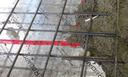 Alleguard SilveRboard® Reflective & Under Slab EPS Insulation