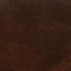 [WLT.W2.TIAS-WAL] Walt Tools Tru Tint 1 gal Acid Stain (Walnut)