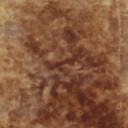 [WLT.W2.CONCST-BCKS] Walt Tools Tru Tint 1 gal Water Based Stain (Buckskin)