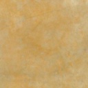 [WLT.W2.CONCST-CPN] Walt Tools Tru Tint 1 gal Water Based Stain (Champagne)