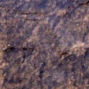 [WLT.W2.CONCST-DKW] Walt Tools Tru Tint 1 gal Water Based Stain (Dark Walnut)