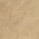 [WLT.W2.CONCST-MCH] Walt Tools Tru Tint 1 gal Water Based Stain (Mocha)