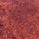 [WLT.W2.CONCST-RST] Walt Tools Tru Tint 1 gal Water Based Stain (Rust)