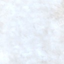 [WLT.W2.CONCST-WWSH] Walt Tools Tru Tint 1 gal Water Based Stain (Whitewash)