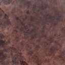 [WLT.W2.CONCST-SEQ] Walt Tools Tru Tint 1 gal Water Based Stain (Sequoia)