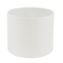 [TLW.WH.040604] PVC 4" Coupling