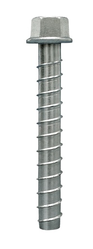 Strong-Tie Titen HD